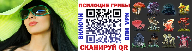 нарко площадка телеграм  Фролово  Псилоцибиновые грибы MAGIC MUSHROOMS  где купить наркотик  блэк спрут зеркало 
